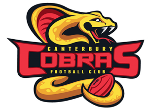 CFNC_logo_football--medium